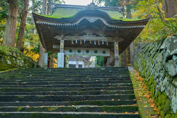 大神山神社奥宮の紅葉