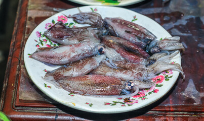 Raw baby squid on plate. Fresh baby octopus on the ice in seafood market. Sea food concept.