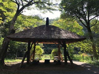gazebo in the park