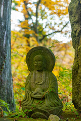 Fototapeta premium 大山寺の紅葉