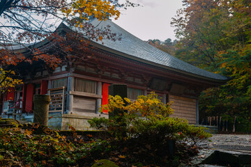 大山寺の紅葉