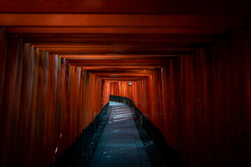 Kyoto Japan 
Fushimi Inari Taisya
京都の伏見稲荷大社です。