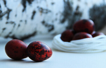 red painted quail variegated eggs for Easter on a light background