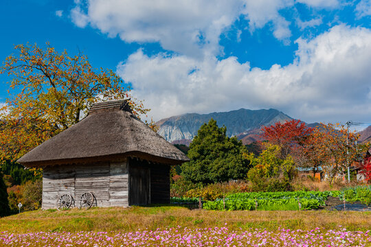 長閑-Bilder: Stock-Fotos & -Videos. | Adobe Stock