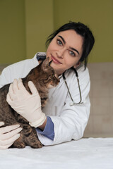 Veterinary clinic. Female doctor portrait at the animal hospital holding cute sick cat 