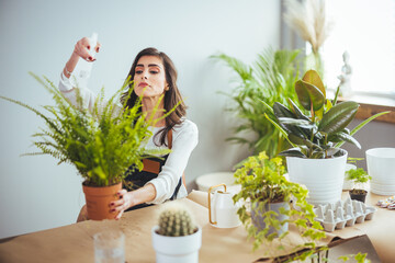 Young businesswoman sprays plants in flowerpots. Woman caring for house plant. Woman taking care of plants at her home, spraying a plant with pure water from a spray bottle