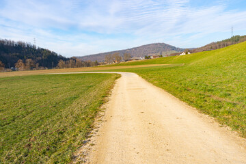 Fototapeta na wymiar pring Reborn, Wiedergeborene Frühling, Europa, Switzerland, Mountain, Forest, Sunny day, Lonely Walk