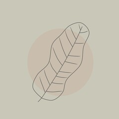 line art design of a leaf