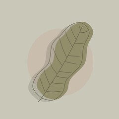 leaf illustration design with circle background