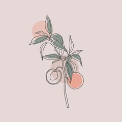 Fototapeta na wymiar illustration of a branch of cherry