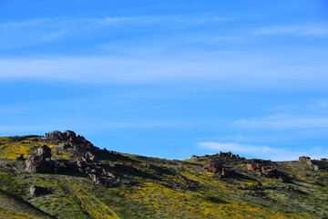 Antelope Valley California