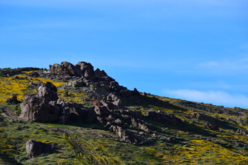 Antelope Valley California