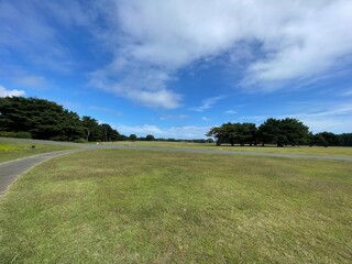 grass and sky