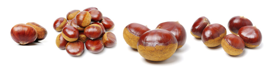 Sweet chestnut on white background