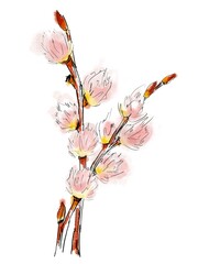 Fototapeta na wymiar Easter illustration of willow branch. Branches with leaves. Design element of greeting card