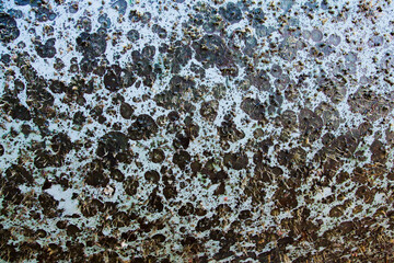 Obraz premium The hull of the yacht is overgrown with marine microorganisms and algae.