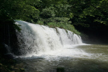 Fototapeta premium 富山 宮島峡 一の滝