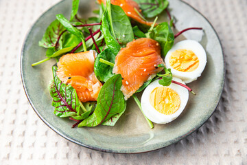 salad salmon, egg, green leaves lettuce fresh portion healthy meal food diet snack on the table copy space food background 