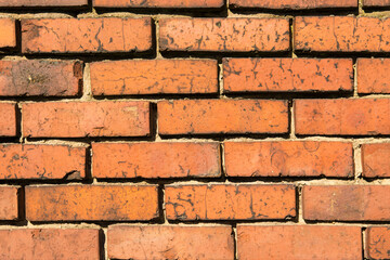 Obraz premium Ziegelwand im Sonnenlicht