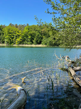Liepnitzsee, Barnim, Wandlitz, Brandenburg, Sommer, Steg, See, Naturschutzgebiet