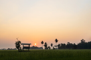 A view of the cottage backlit by the early morning sun.