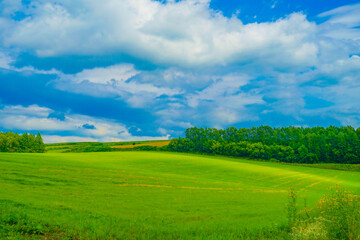 Obraz premium 北海道富良野の平原