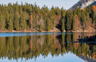 lago, acqua, paesaggio, montagna, foresta, natura, cielo, montagna, alberi, parco, all'aperto, verde, pino, viaggiare, trentino, tovel, autunno, riflesso, coolori, montagna, italia, acqua, specchio