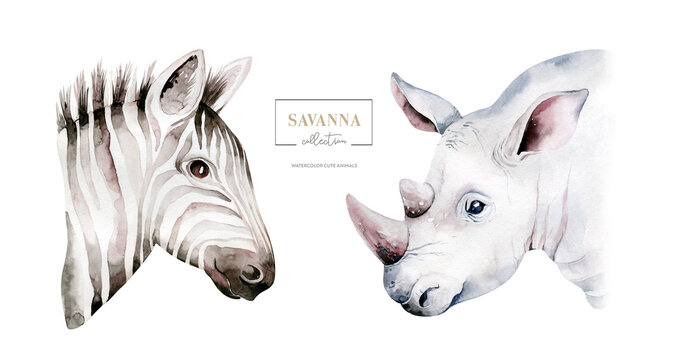 Africa watercolor savanna zebra and rhino animal. African Safari cute animals portrait character.Perfect for wallpaper print, poster, packaging ,invitation, wedding design
