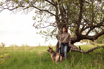 The  dog breed is on a walk in the summer in nature. The dog plays with its master. Banner. 