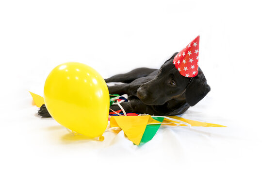 Een ballon voor mij!