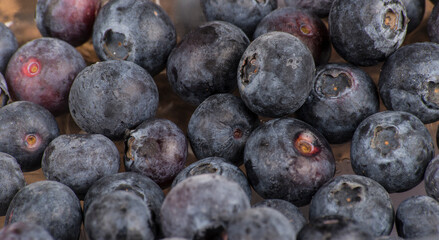 Blaubeeren auf Holzuntergrund in Nahaufnahme
