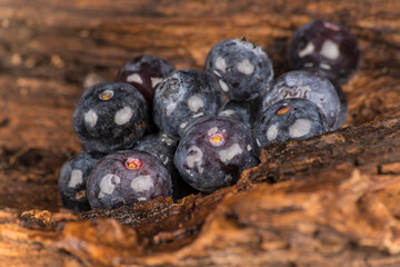 Blaubeeren auf Holzuntergrund in Nahaufnahme