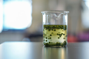 green bead in lab beaker
