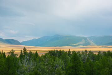 Dramatic view from forest to high mountain range in sunlight during rain in changeable weather. Colorful landscape with green forest and sunlit steppe against large mountains under cloudy sky in rain.