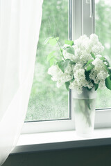 White Lilac flowers bouquet against window background
