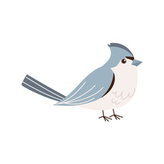 Fototapeta premium bird isolated icon