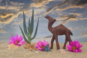 Aloe and Camel on Sand With Sunset