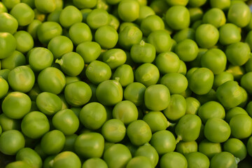 closeup shot of peacod ,background seed image of Peacod or Bean Ladybird or Peasecod