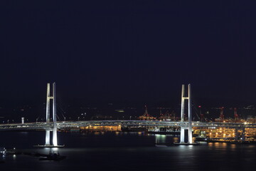 Fototapeta na wymiar 新子安から見た横浜ベイブリッジ (夜景)