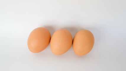 isolated chicken eggs on a white background