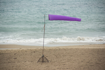 Purple wind rose on the beach