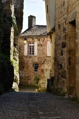 Fototapeta na wymiar village médiéval de penne dans le tarn