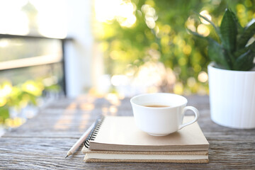 White coffee cup and Hahnii mini snake plant pot and kraft notebook