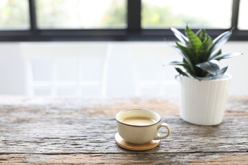 Yellow coffee cup and Hahnii mini snake plant pot