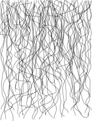 Obraz premium Random Abstract Chaotic Lines Y_2112002