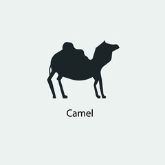 Camel vector icon illustration sign