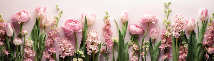 Fototapeta na wymiar Spring flowers on pastel colored background