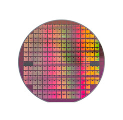 Silicon wafer with chips isolated on white background