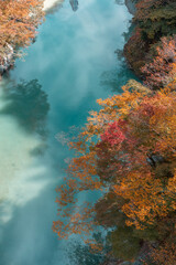 Fototapeta na wymiar The river with rock in rural area in Japan