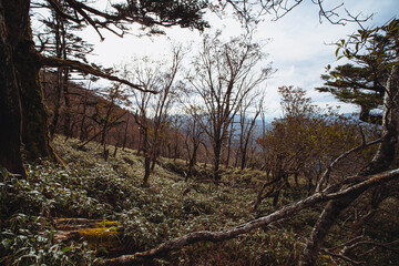 Fall mountain trekking in Japan